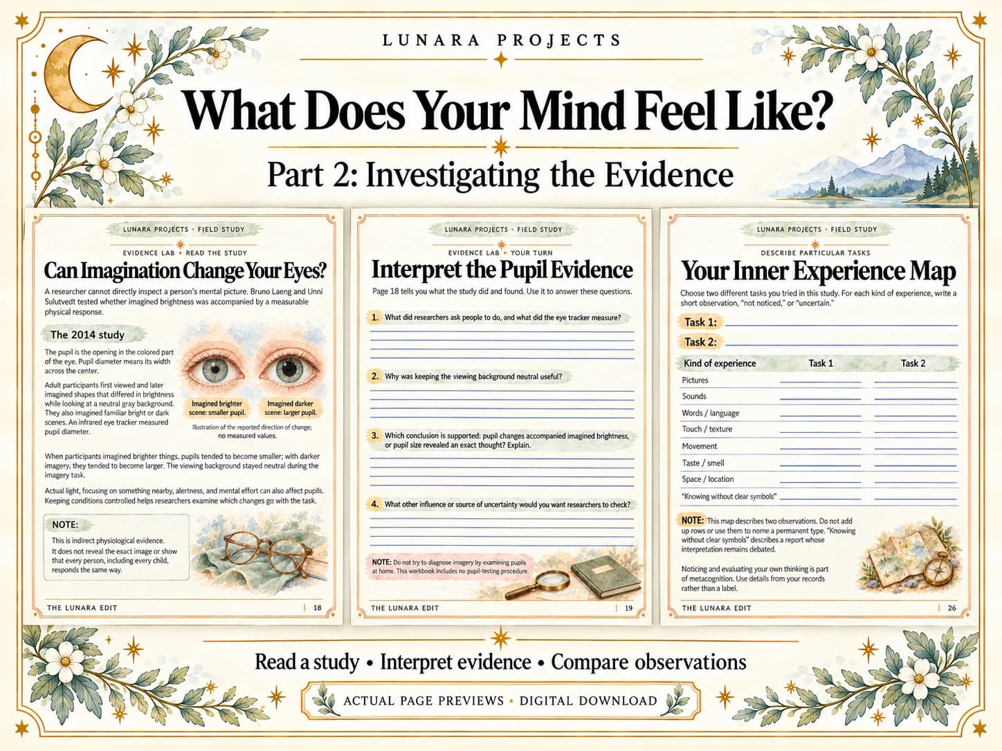 Mind Part 2 preview: research evidence, comparisons and an Inner Experience Map.