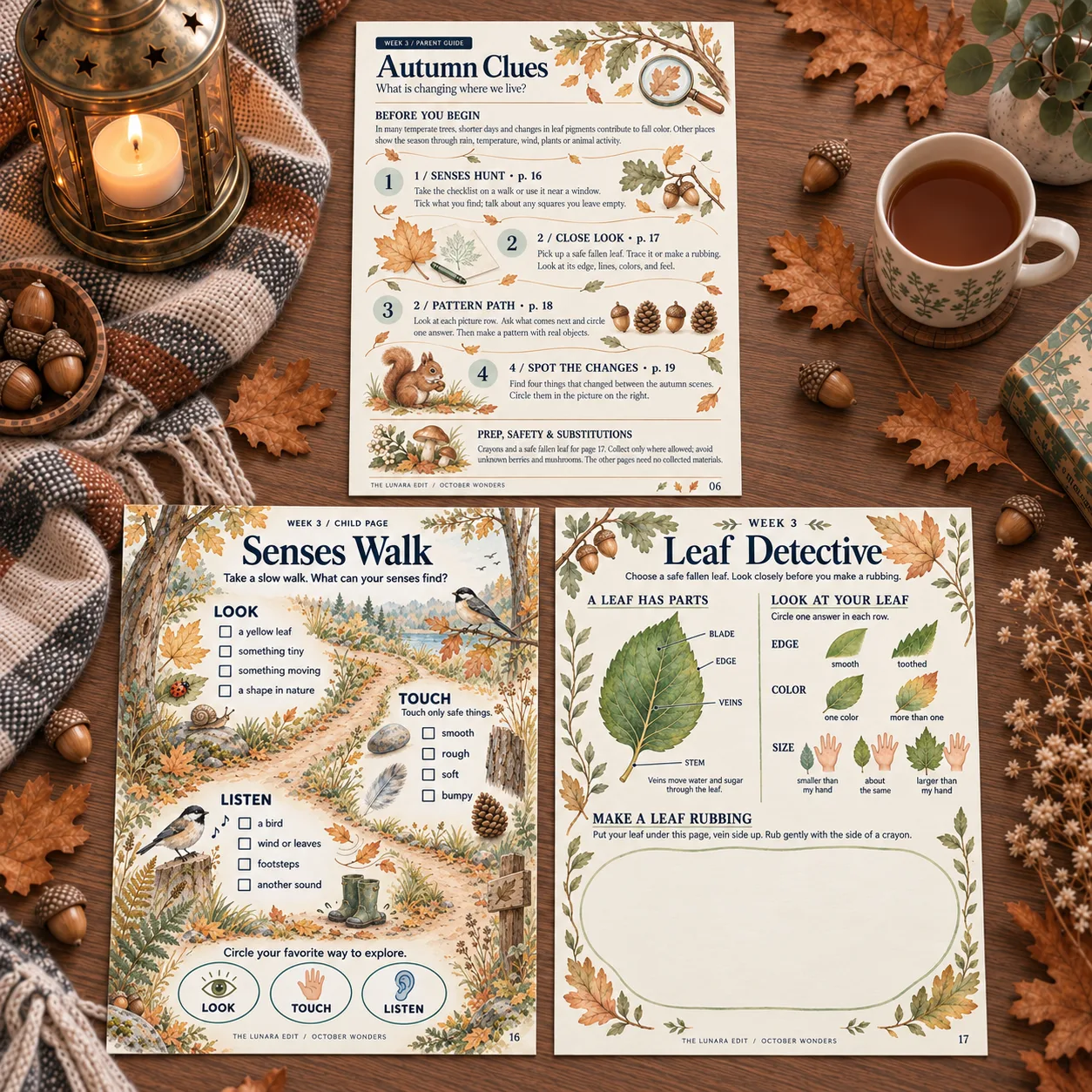 Week 3 “Autumn Clues” pages: the parent guide, a “Senses Walk” checklist for looking, listening, and touching, and “Leaf Detective” with leaf parts and a space for a leaf rubbing