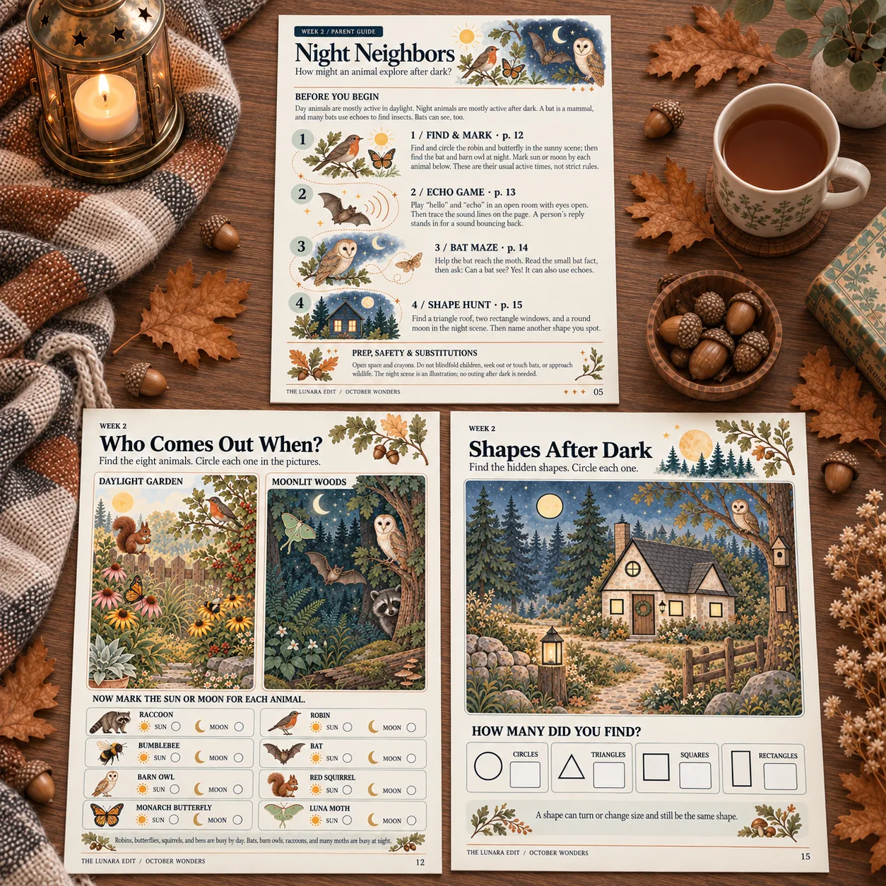 Week 2 “Night Neighbors” pages: the parent guide, “Who Comes Out When?” with a daylight garden and moonlit woods, and “Shapes After Dark” with a cottage scene for a shape hunt