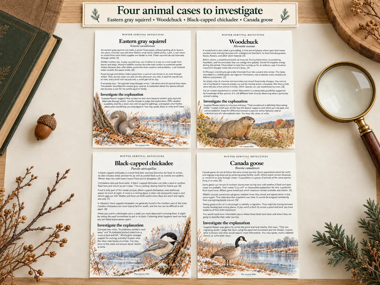 Four animal case pages for eastern gray squirrel, woodchuck, black-capped chickadee, and Canada goose, arranged with a magnifying glass, field book, acorn, and winter branches.