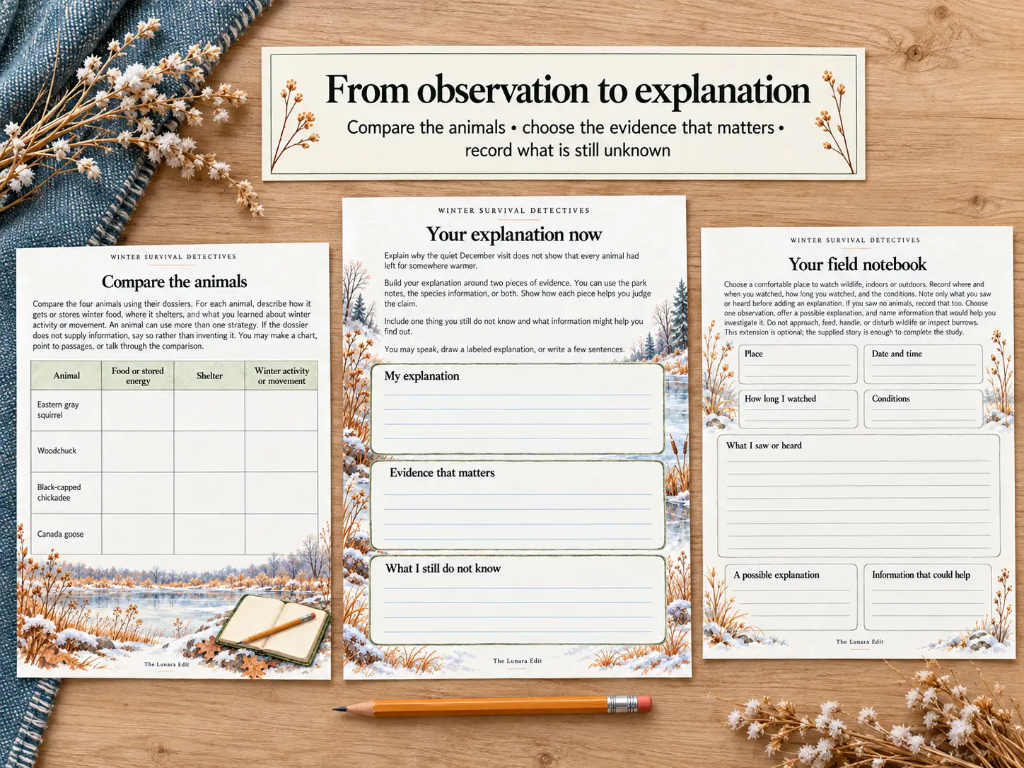 The Compare the Animals, Your Explanation Now, and Your Field Notebook pages arranged beneath the heading “From observation to explanation.”