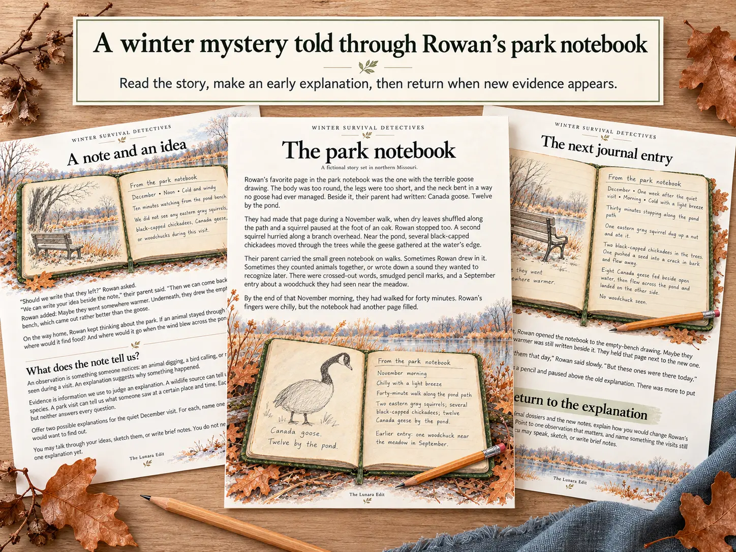 Three illustrated Winter Survival Detectives story pages arranged on a wooden table: A Note and an Idea, The Park Notebook, and The Next Journal Entry, beneath the heading “A winter mystery told through Rowan’s park notebook.”