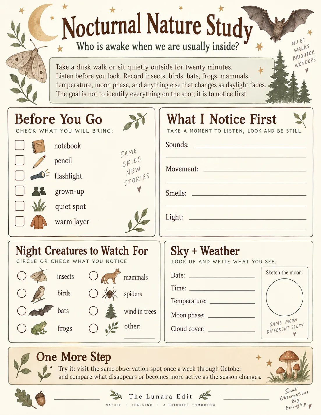 Nocturnal Nature Study printable