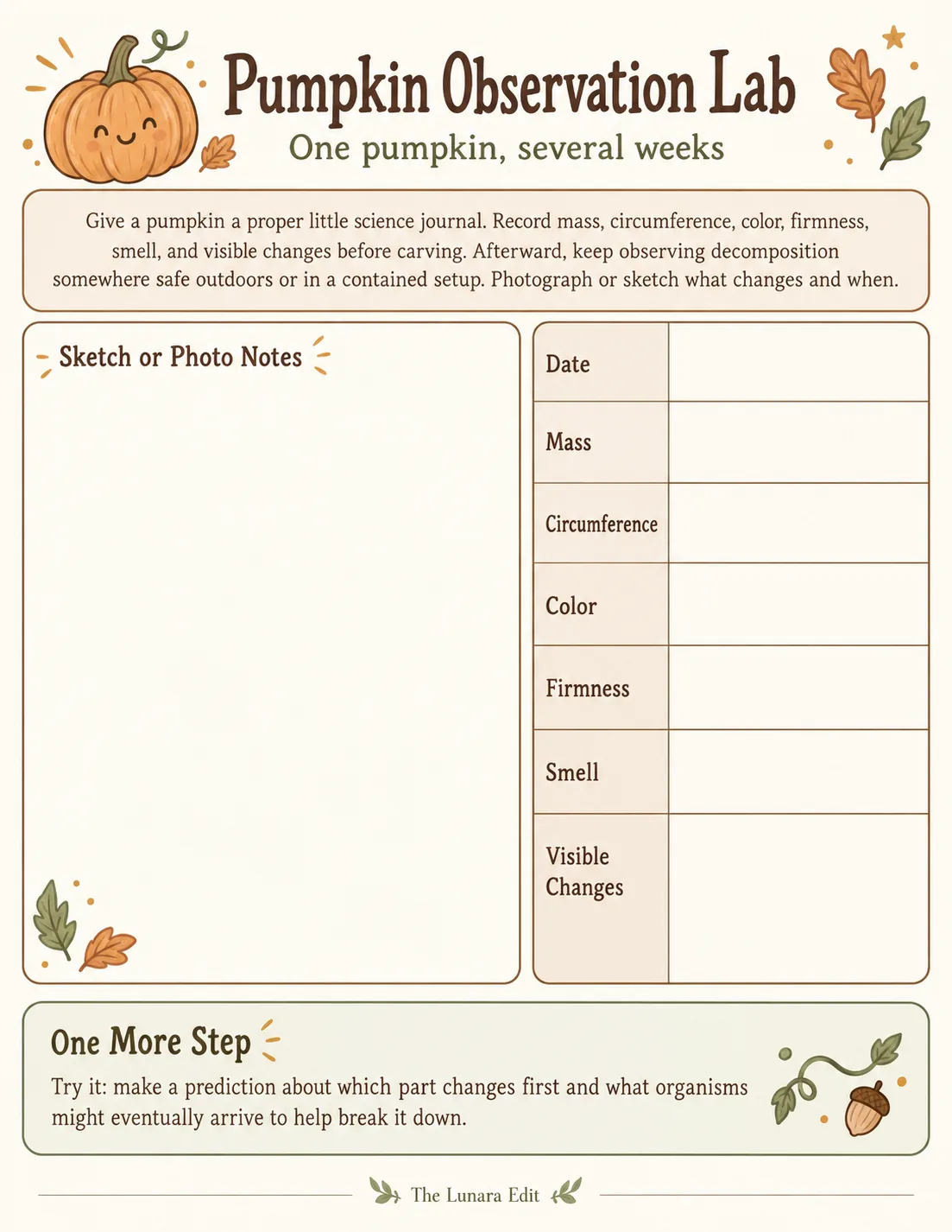 Pumpkin Observation Lab printable